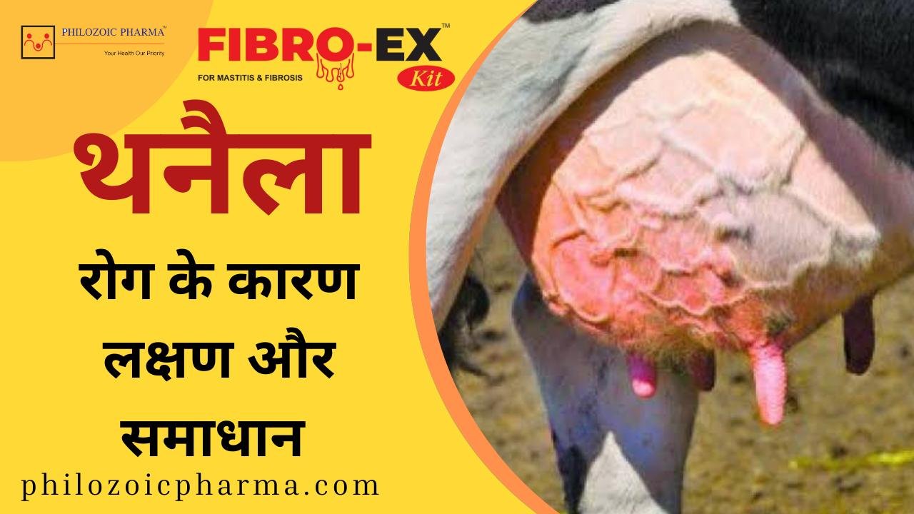 Fibro-EX Kit
