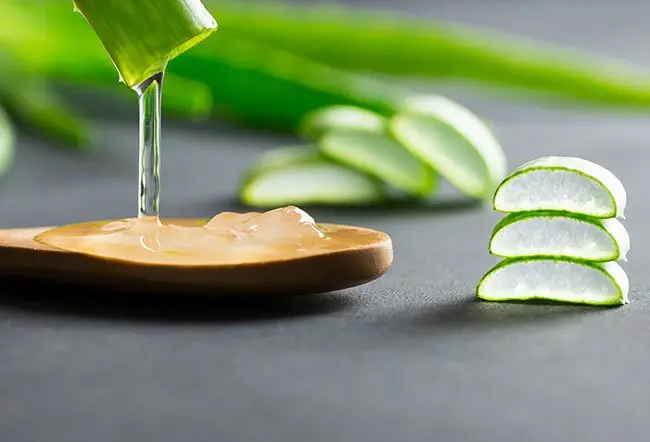 aloe vera for hair growth